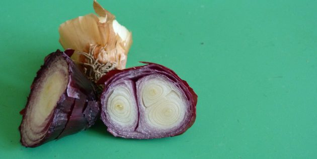 Как вырастить зелёный лук на подоконнике: Уже подсохшие заготовки для посадки