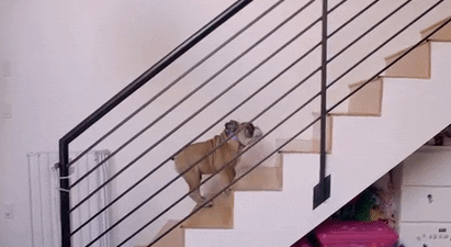 Как бегать дома: выйдите на лестничную клетку