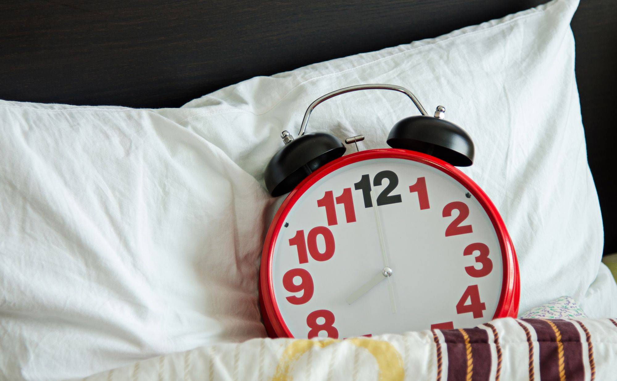 полезные советы чтобы высыпаться - Stone Forest