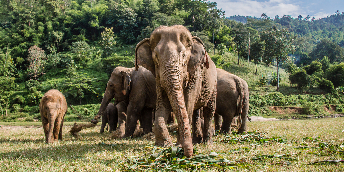 достопримечательности Таиланда