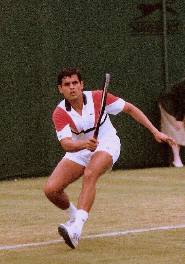 Теннисист Рамеш Кришнан - Stone Forest