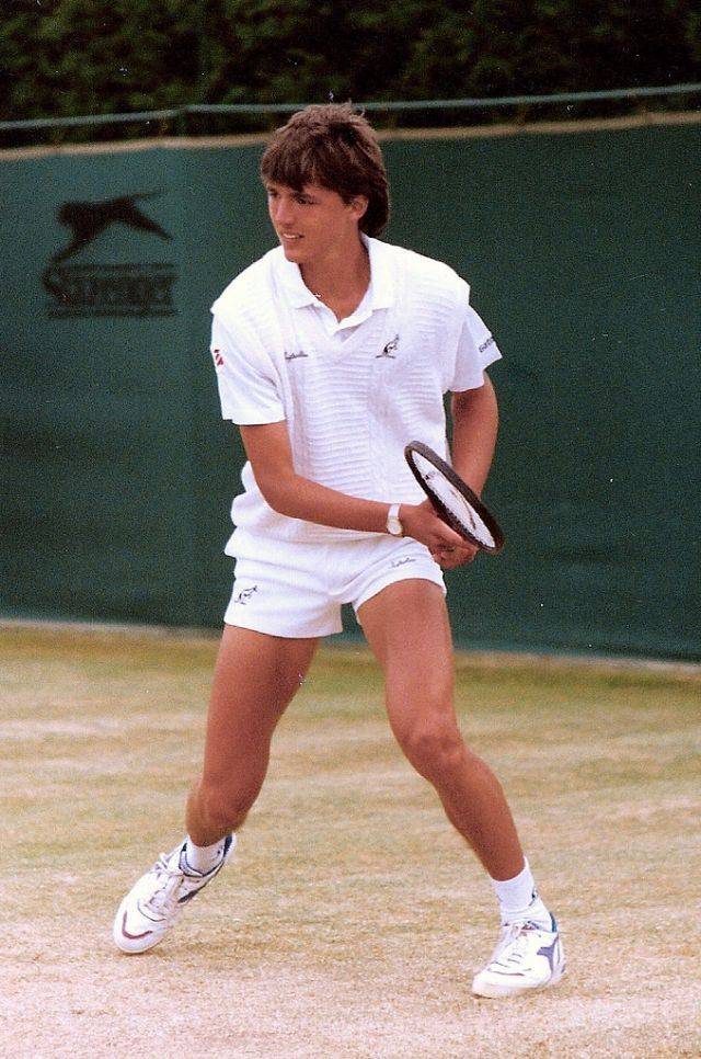 Теннисист Горан Иванишевич - Stone Forest